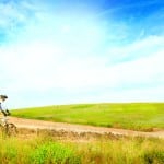 shutterstock_65300362