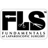 FLS_logo