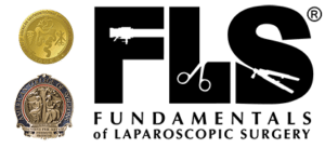 FLS_logo_web