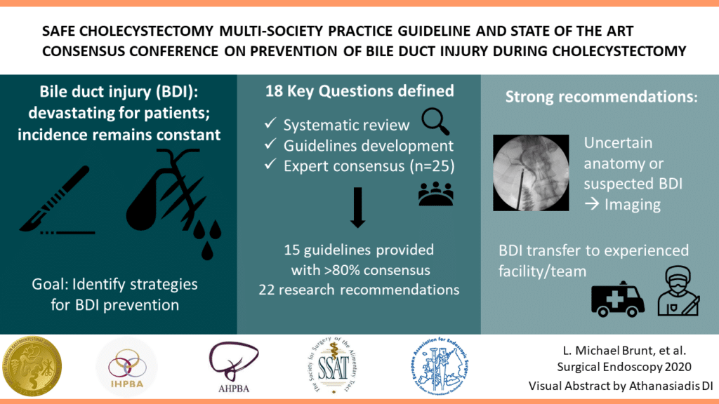 Visual Graphic: Safe Cholecystectomy Multi-Society Practice Guideline and State of the Art Consensus Conference on Prevention of Bile Duct Injury during Cholecystectomy