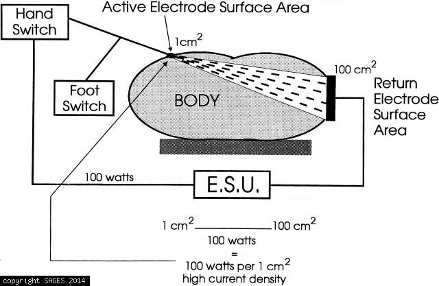 Active Electrode Surface Area
