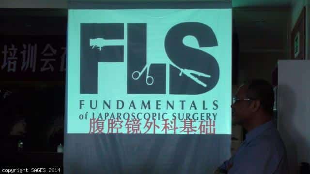 FLS slide in Chinese FLS slide in Chinese